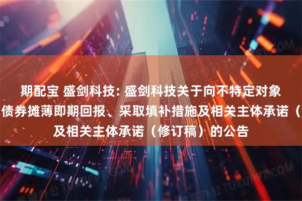 期配宝 盛剑科技: 盛剑科技关于向不特定对象发行可转换公司债券摊薄即期回报、采取填补措施及相关主体承诺（修订稿）的公告