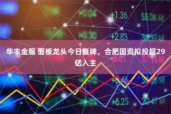 华丰金服 面板龙头今日复牌，合肥国资拟投超29亿入主