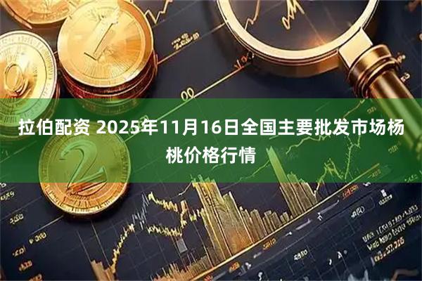 拉伯配资 2025年11月16日全国主要批发市场杨桃价格行情
